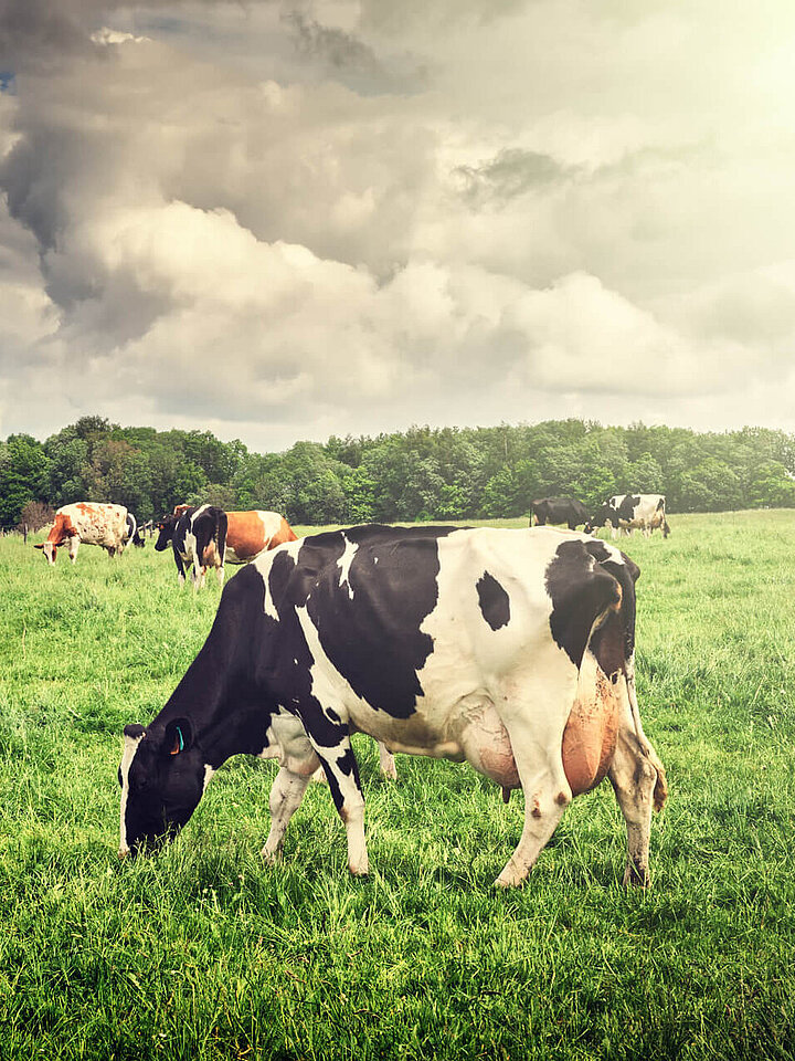 Climate research GHG