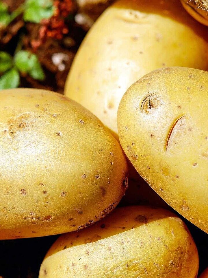 Potatoes