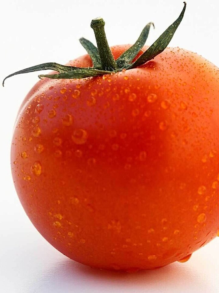 Tomato