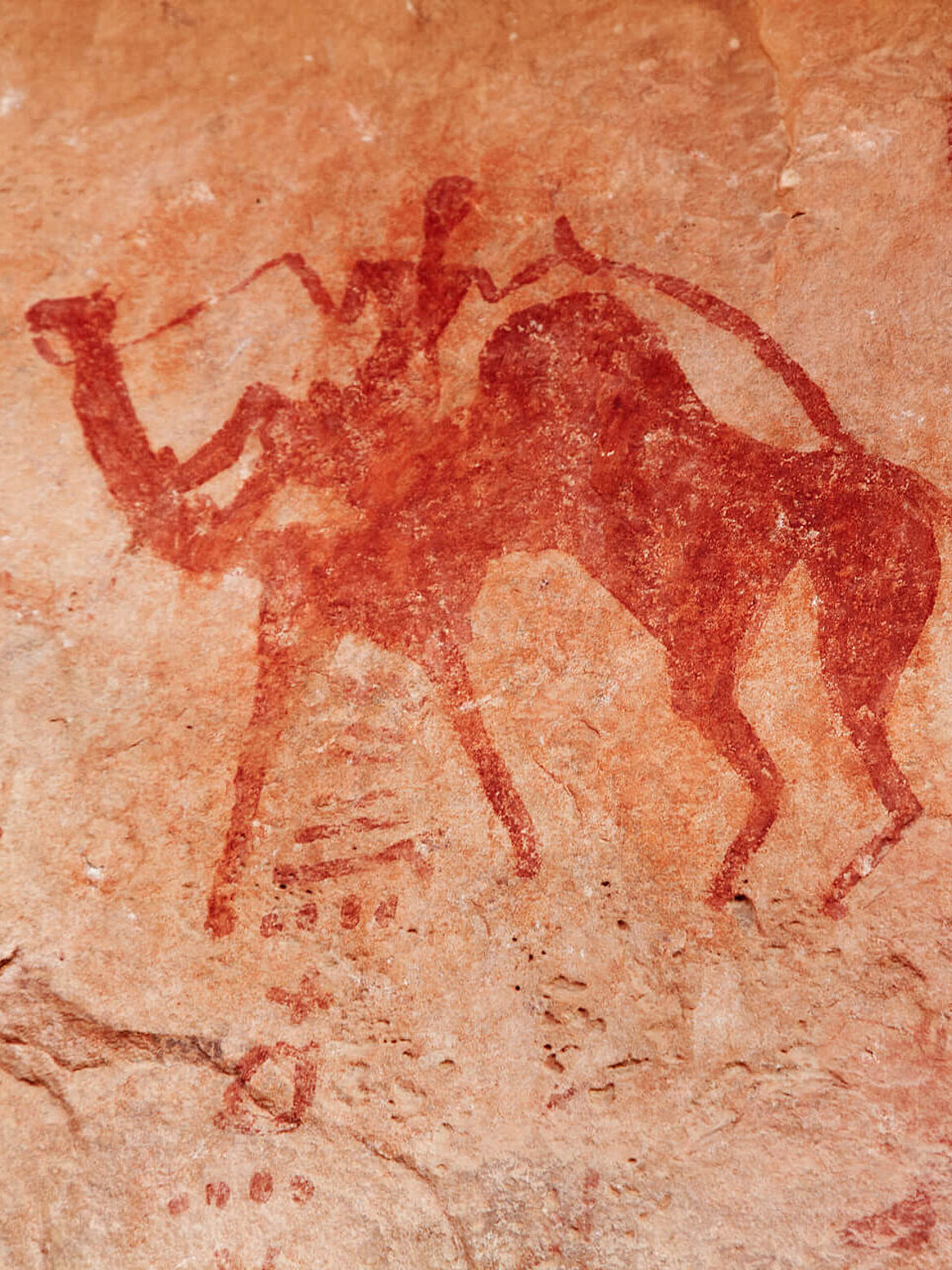 考古学における安定同位体分析