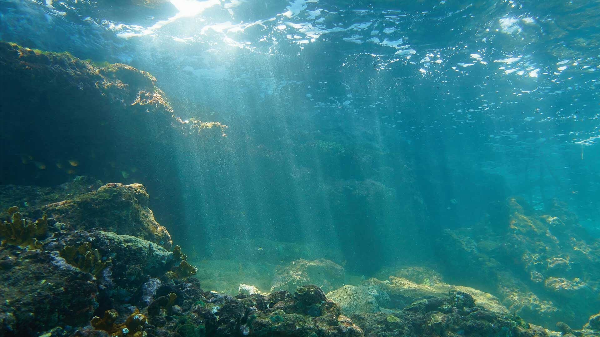 Дне. Подводный мир Байкала. Северное море под водой. Морское дно севера. Рельеф под водой.