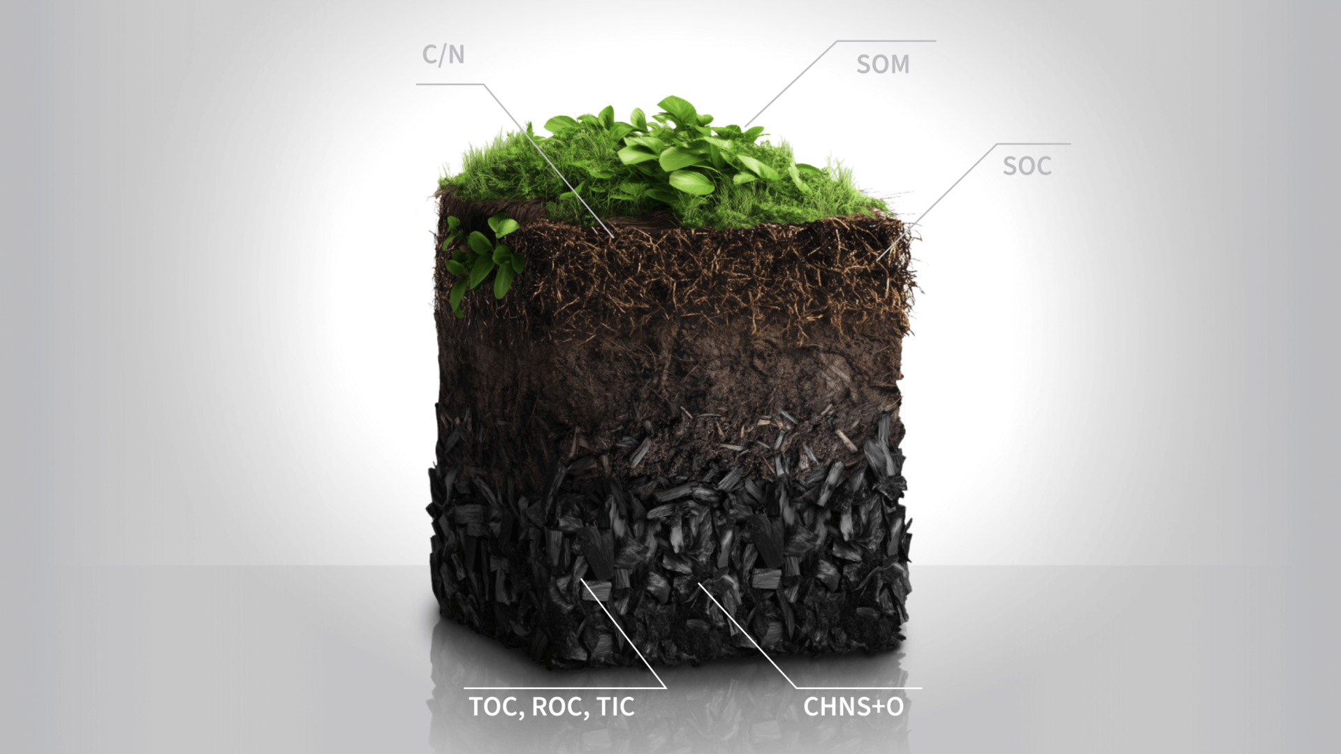 Infographic: A soil profile with biochar layer