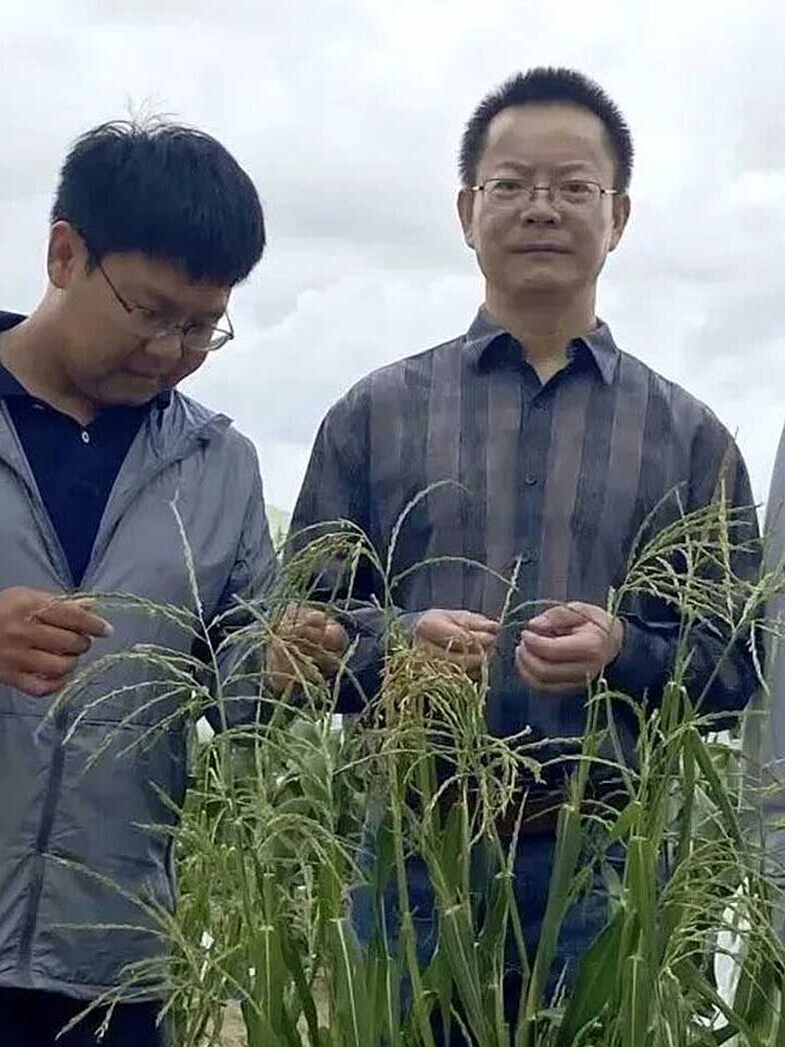 Prof Wu Yongrui and his team