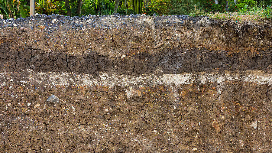 Soil profile