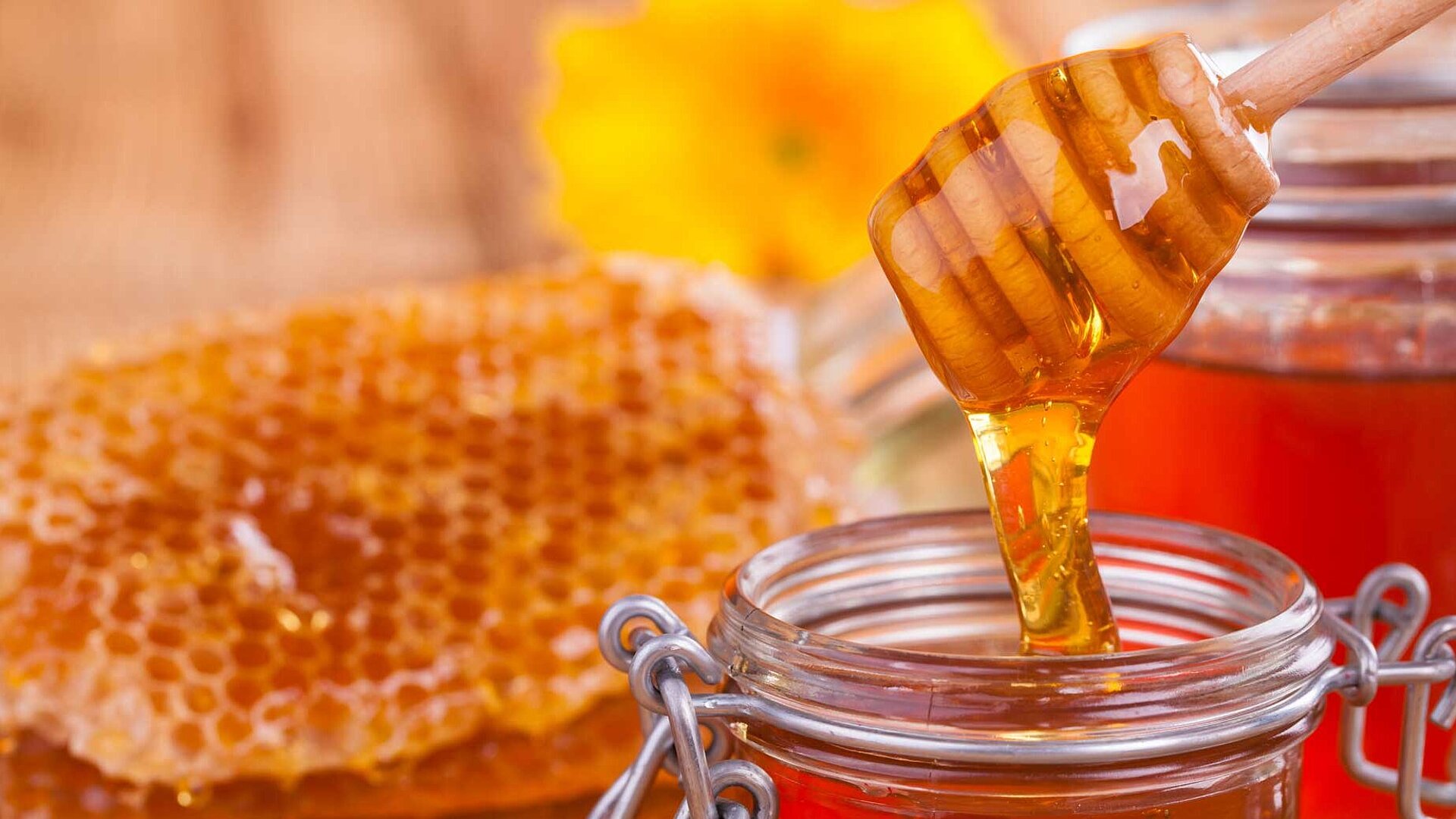 Food authenticity Stable isotope analysis can detect adulterated honey