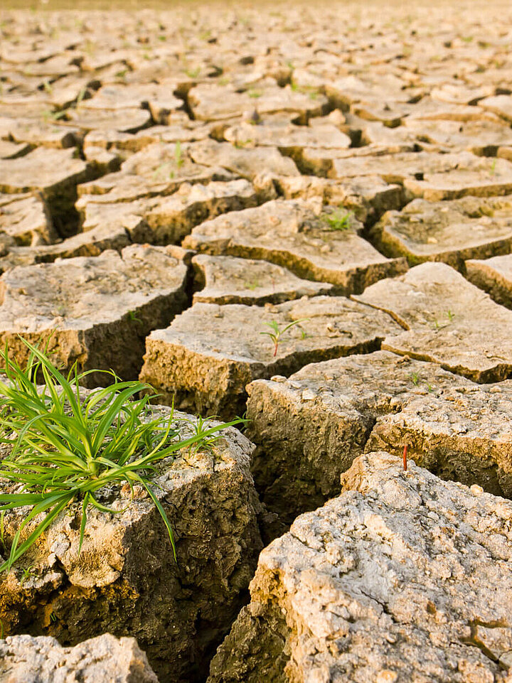 Klimaforschung Boden