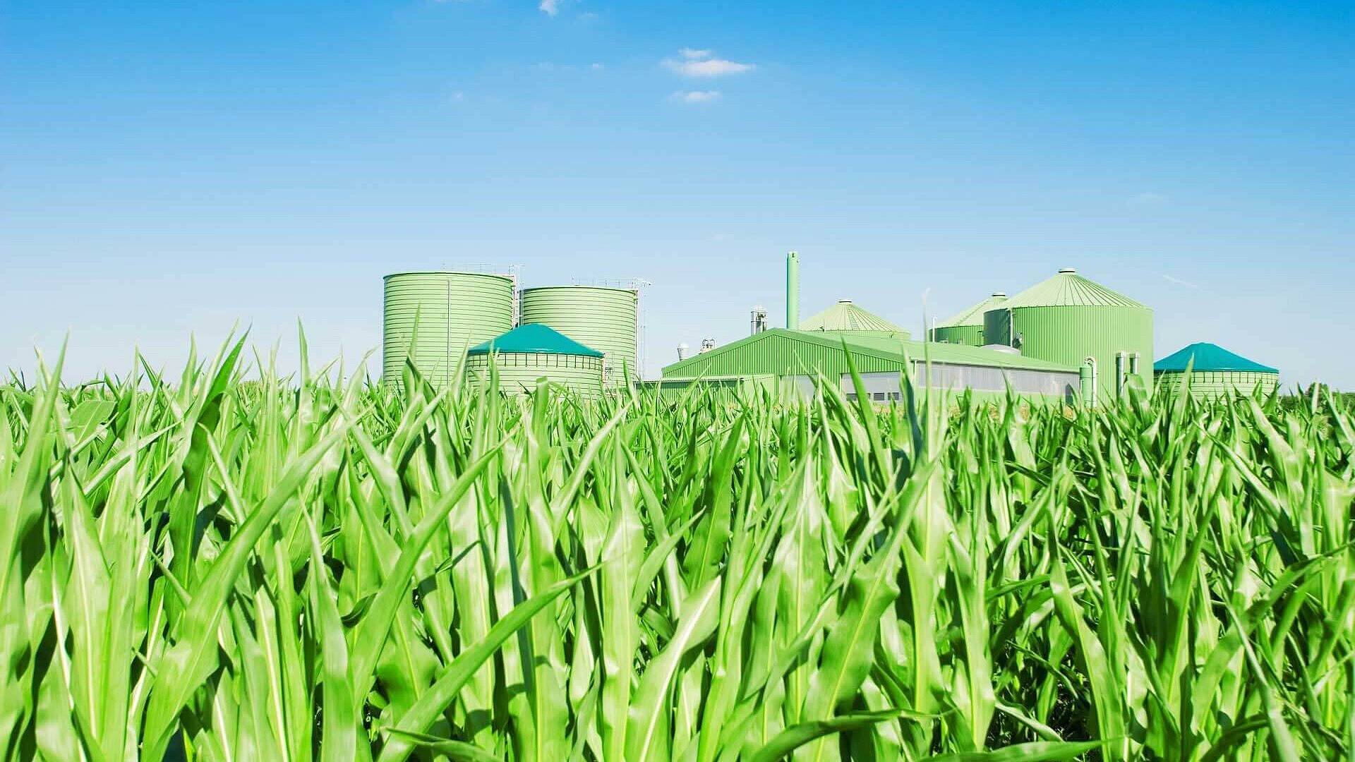 Data Bulletin Biomass plant