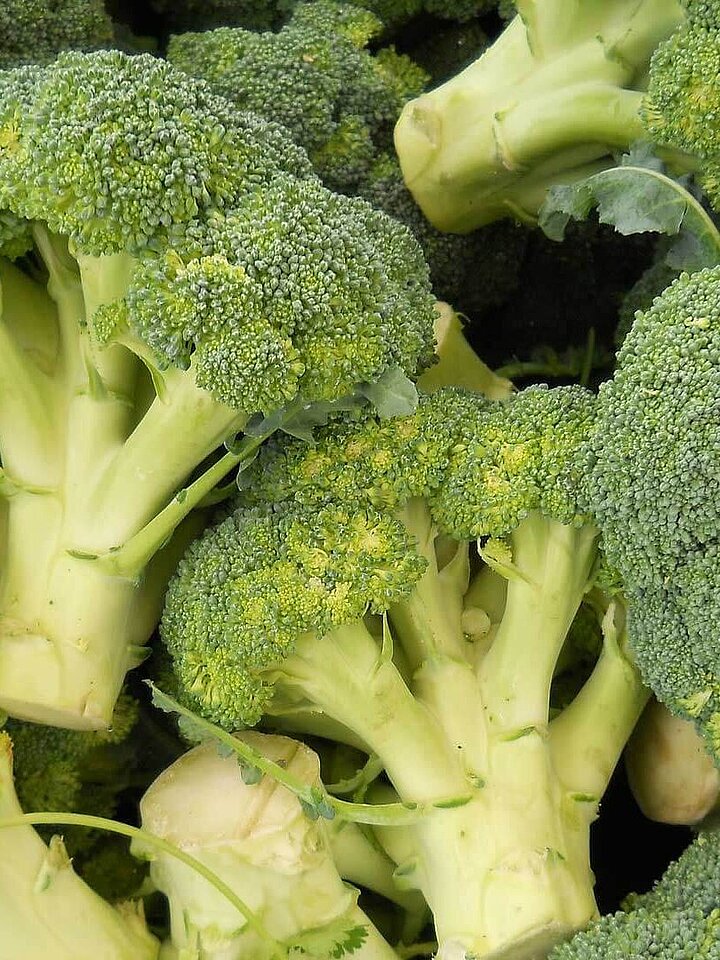 Broccoli