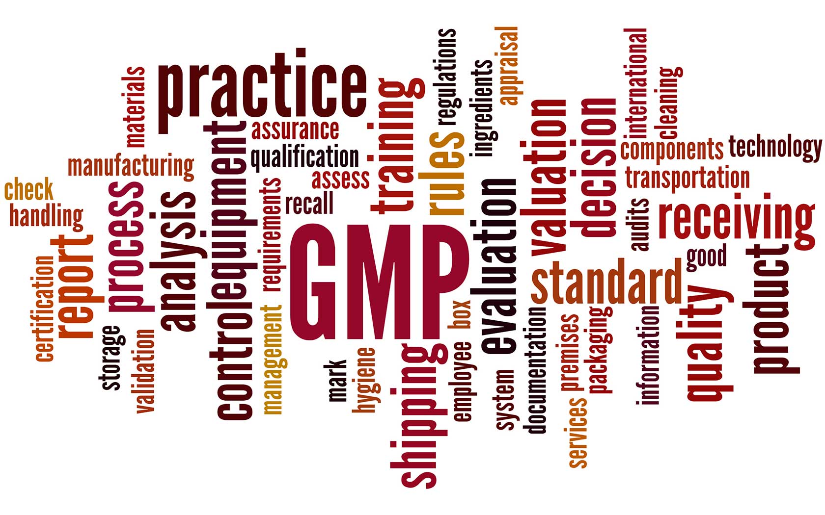 A word cloud, containing different GMP related words